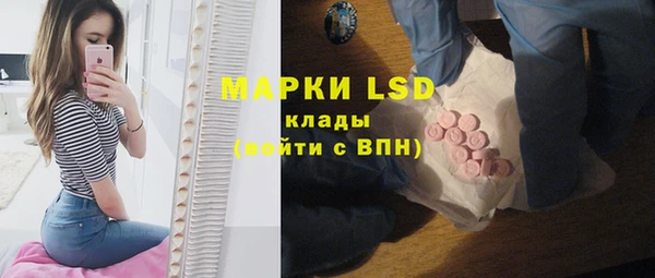 гидра Покачи