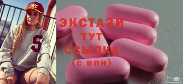 гидра Покачи
