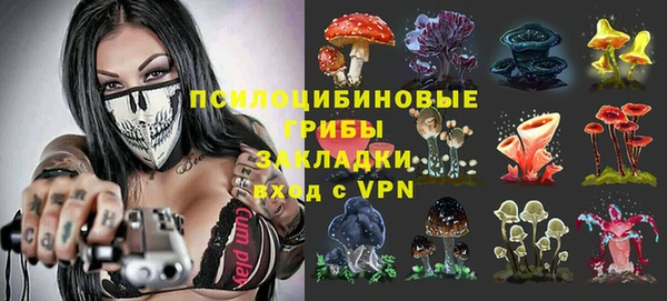 гидра Покачи