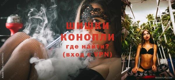 гидра Покачи