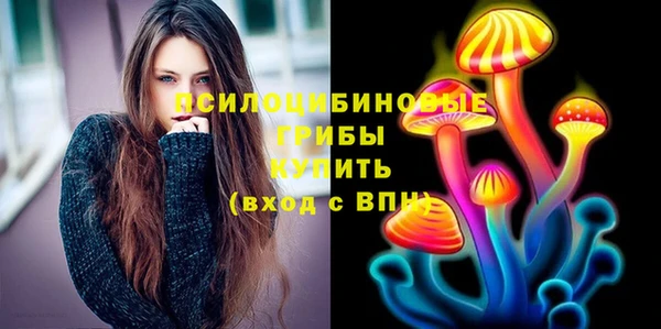 PSILOCYBIN Покров