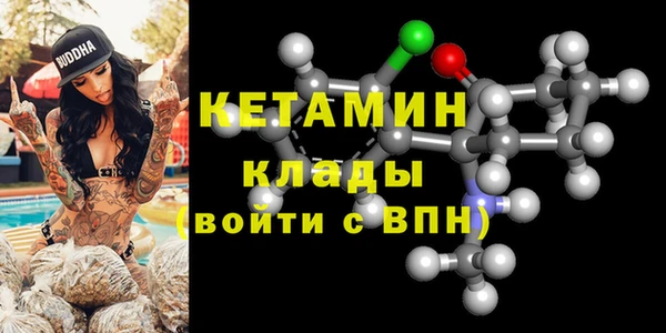 гидра Покачи