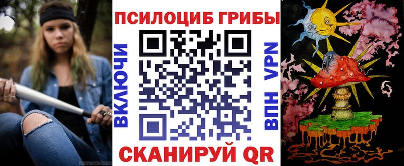 где купить наркоту  Чекалин  Галлюциногенные грибы мицелий 